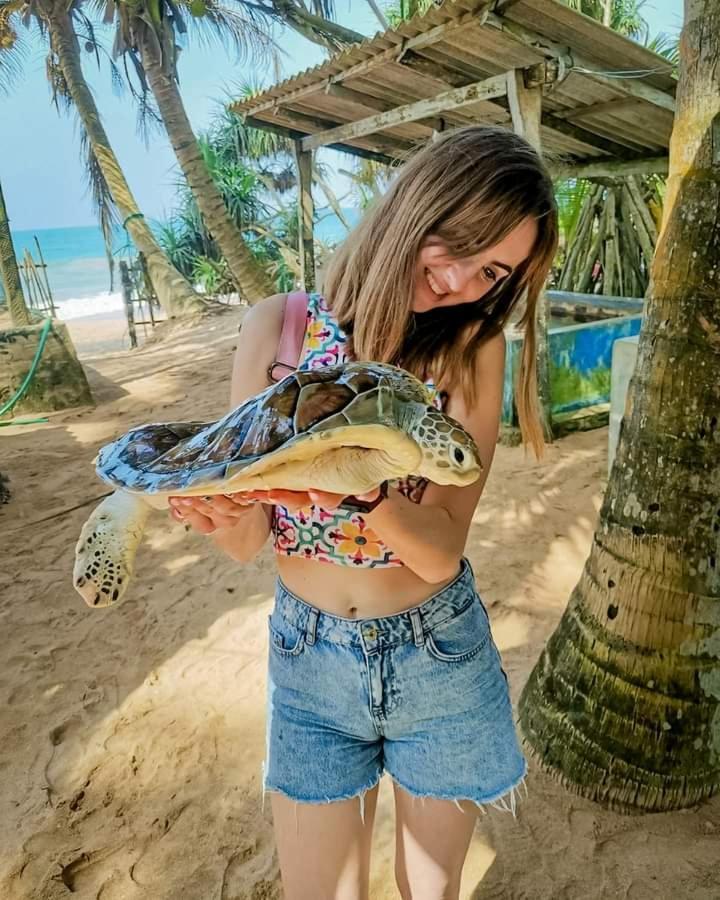 Ceylon Serenity Villas Берувала Екстериор снимка